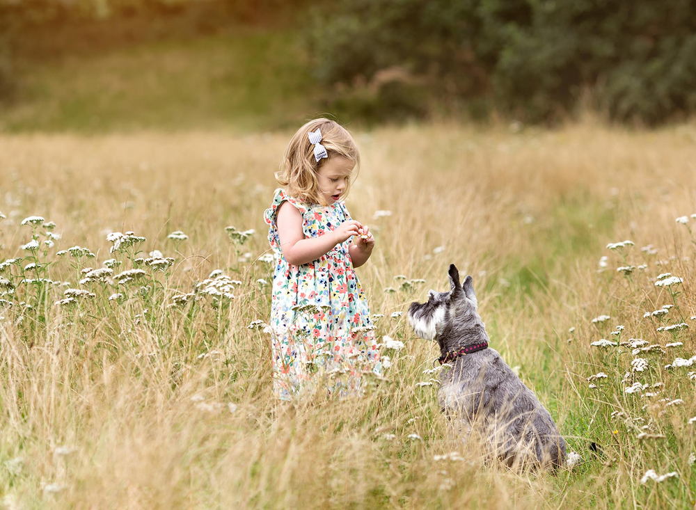 family photography session with Fairy Nuff Photography, child and dog in a summer meadow