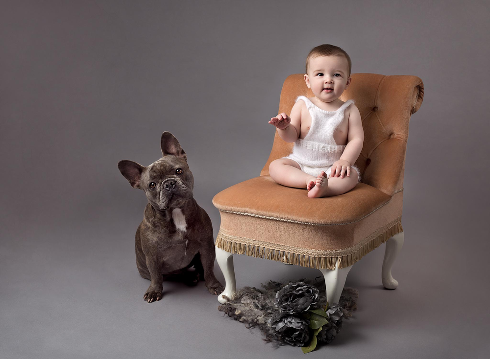 Studio session of 7 month old baby and french bulldog